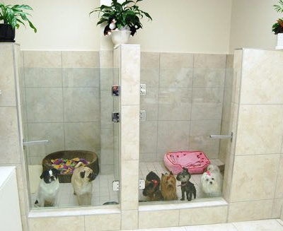 MacKays-Burlington-Animal-Hospital-Kennel